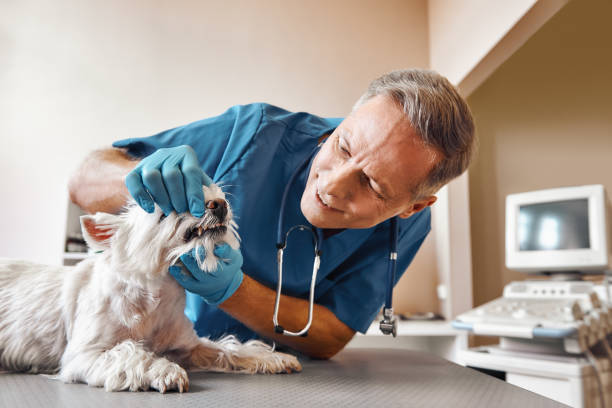 Best After-Hours Emergency Dentist in Barnesville, OH